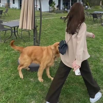 诱拐报道